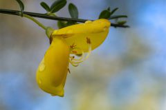 1701_M-Achterberg_Brem_1046749_2025_