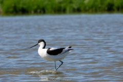 19_Presentatie_M.Achterberg_2026-22