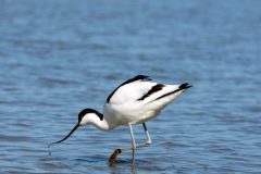 20_Presentatie_M.Achterberg_2026-23