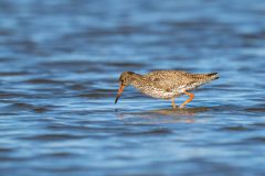 21_Presentatie_M.Achterberg_2026-26