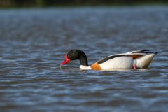 22_Presentatie_M.Achterberg_2026-27