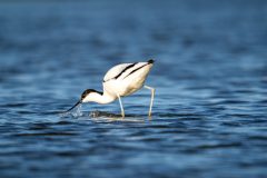 25_Presentatie_M.Achterberg_2026-30