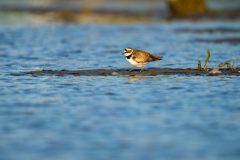 26_Presentatie_M.Achterberg_2026-34