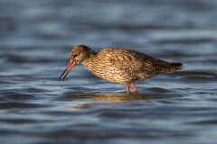 27_Presentatie_M.Achterberg_2026-35