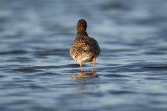 28_Presentatie_M.Achterberg_2026-36