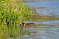 30_Presentatie_M.Achterberg_2026-25