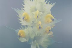 3301_M-Achterberg_Ratelaar_1051837_db_2025