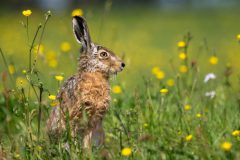 34_Presentatie_M.Achterberg_2026-43