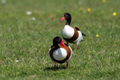 41_Presentatie_M.Achterberg_2026-46