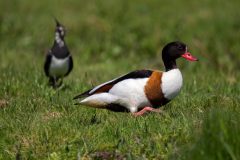 42_Presentatie_M.Achterberg_2026-48