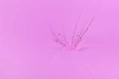 4501_M-Achterberg_Druppeltjes_1065120_2025