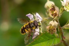 46_Presentatie_M.Achterberg_2026