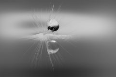 4701_M-Achterberg_H2O_1065430_2025