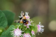 47_Presentatie_M.Achterberg_2026-2