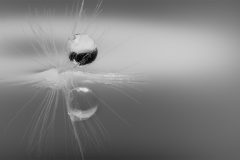 4801_M-Achterberg_H2O_1065430_2025_2
