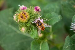 48_Presentatie_M.Achterberg_2026-3