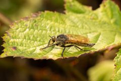 49_Presentatie_M.Achterberg_2026-4