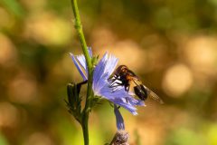 51_Presentatie_M.Achterberg_2026-6