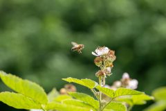 52_Presentatie_M.Achterberg_2026-50