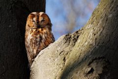 IMG_1872kopie