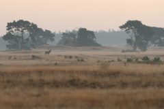 IMG_2473kopie