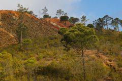 13-Riotinto