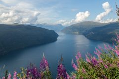Innvikfjörd
